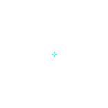 Crosshair
