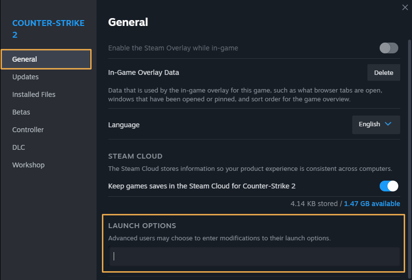 Setting launch options in CS2 via the launch options field in settings