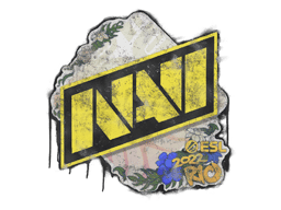 Natus Vincere | Rio 2022