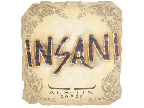 insani | Austin 2025