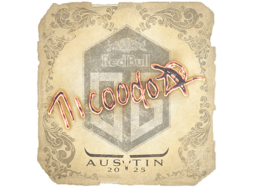 nicoodoz | Austin 2025