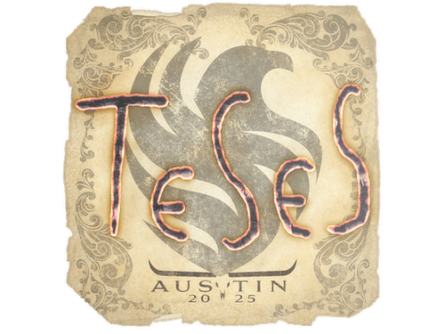 TeSeS | Austin 2025