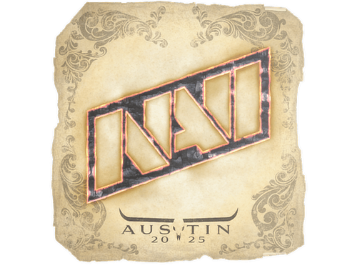 Natus Vincere | Austin 2025
