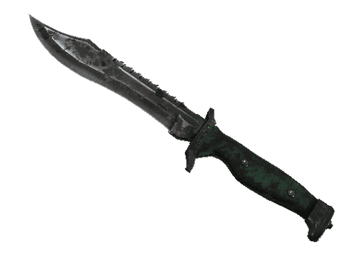 ★ Bowie Knife | Boreal Forest (Battle-Scarred)