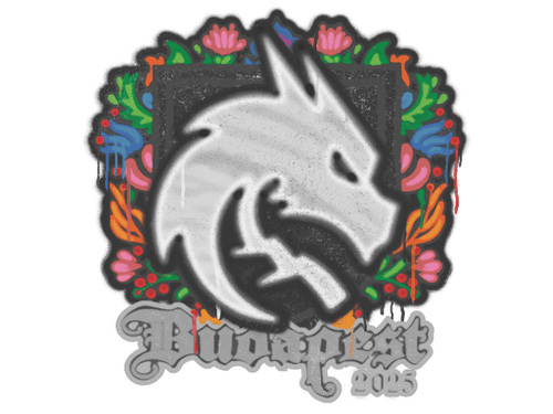 Sealed Graffiti | Team Spirit | Budapest 2025