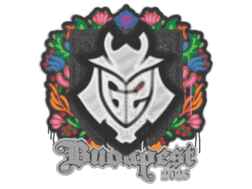 Sealed Graffiti | G2 esports | Budapest 2025