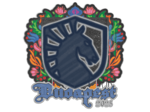 Sealed Graffiti | Team Liquid | Budapest 2025