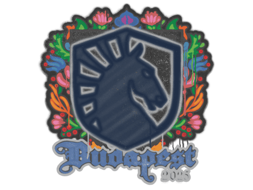 Sealed Graffiti | Team Liquid | Budapest 2025