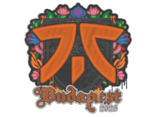 Sealed Graffiti | fnatic | Budapest 2025