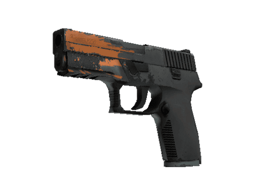 P250 | Splash (Field-Tested)