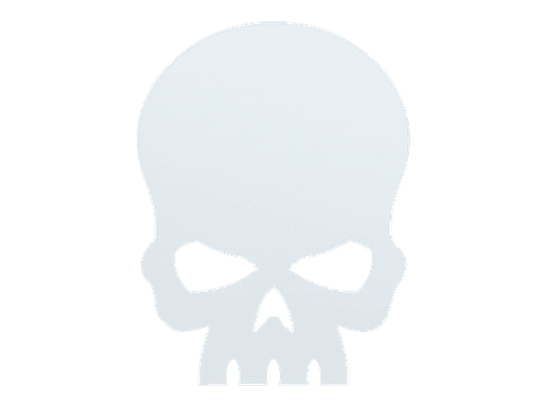 Astartes Skull