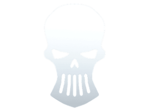 Silver Skulls