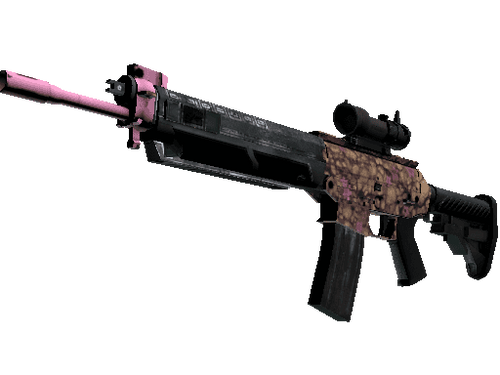 SG 553 | Desert Blossom (Factory New)