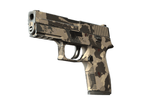 P250 | Black & Tan (Well-Worn)