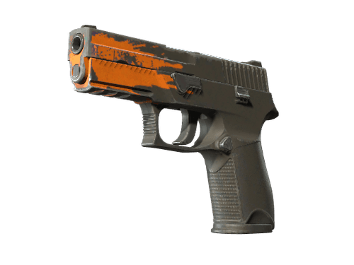 P250 | Splash (Field-Tested)