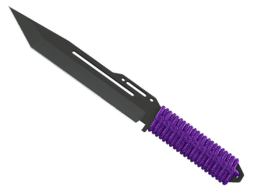 ★ StatTrak™ Paracord Knife | Ultraviolet (Minimal Wear)