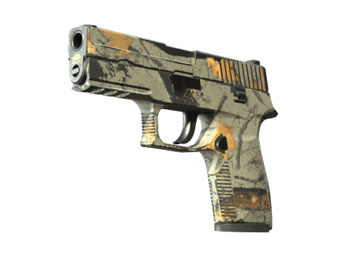 P250 | Modern Hunter (Field-Tested)