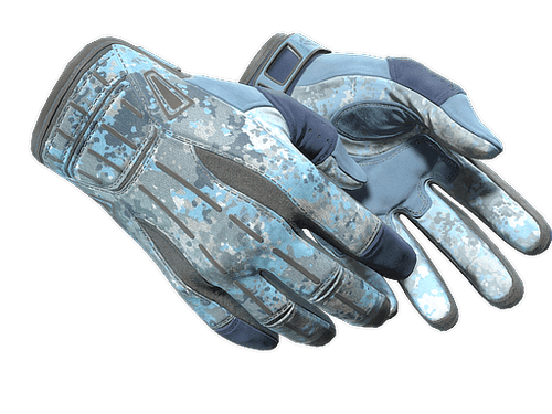 ★ Sport Gloves | Frosty (Factory New)