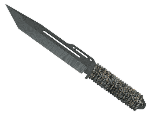 ★ StatTrak™ Paracord Knife | Damascus Steel (Battle-Scarred)