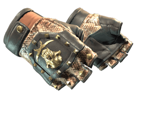 Gloves in the Operation Hydra Case