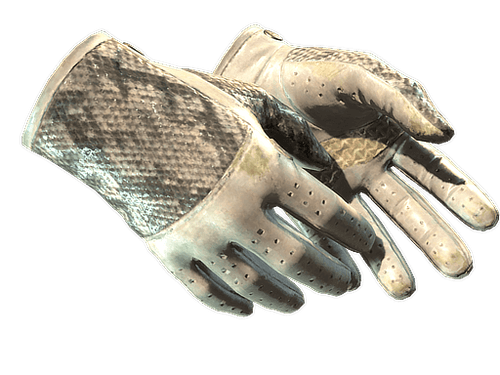 ★ Driver Gloves | King Snake (Field-Tested)