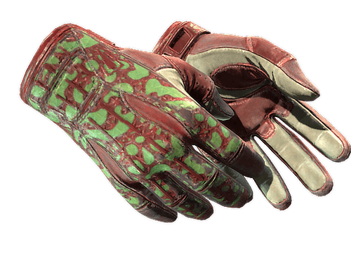★ Sport Gloves | Bronze Morph (Well-Worn)