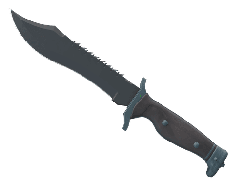 ★ Bowie Knife | Night (Factory New)