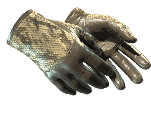 ★ Driver Gloves | Diamondback (Factory New)
