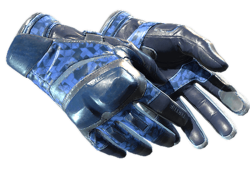 ★ Moto Gloves | Polygon (Field-Tested)