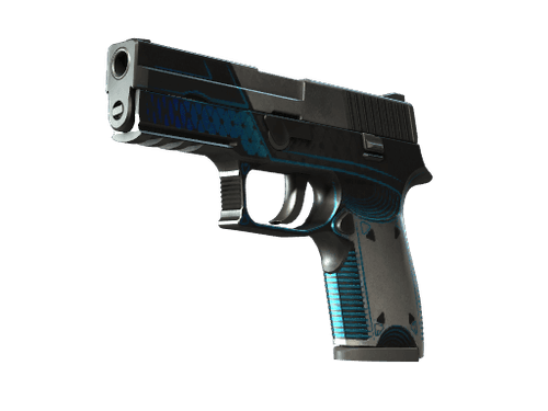 StatTrak™ P250 | Valence (Well-Worn)