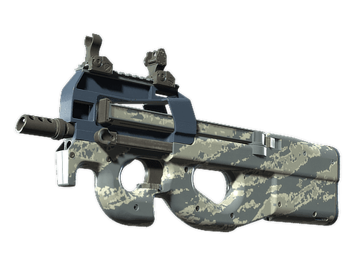P90 Skins | Total CS