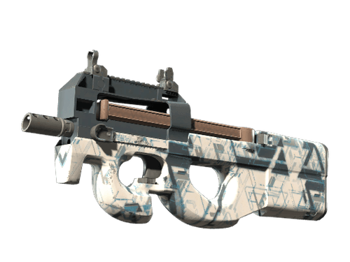 P90 | Schematic (Minimal Wear)