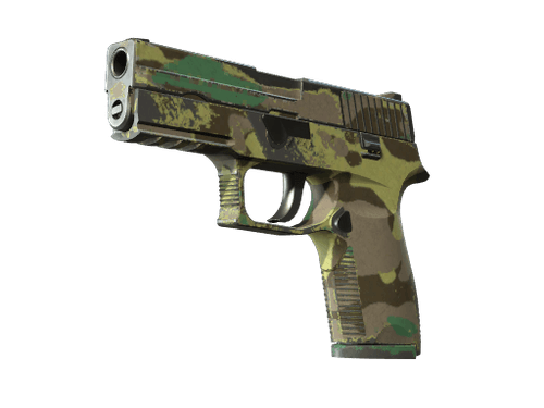Souvenir P250 | Boreal Forest (Well-Worn)