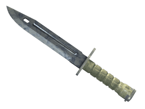 ★ Bayonet | Stained (Factory New)