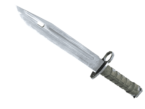 ★ StatTrak™ Bayonet