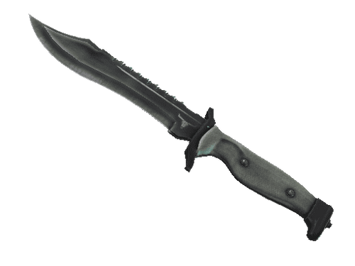 ★ StatTrak™ Bowie Knife