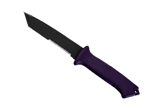 ★ StatTrak™ Ursus Knife | Ultraviolet (Field-Tested)