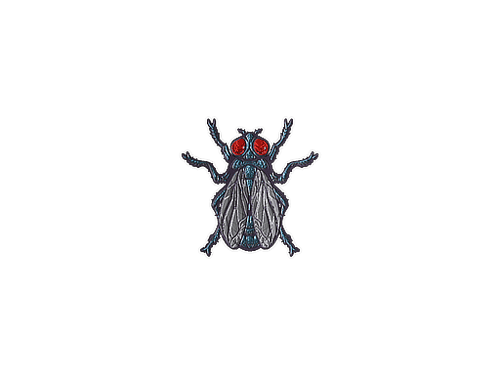 Sticker | Fruit Fly (Foil)