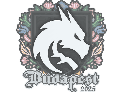 Sticker | Team Spirit | Budapest 2025