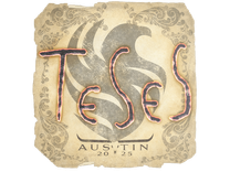 Sticker - TeSeS | Austin 2025