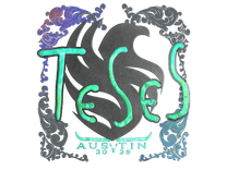 Holo Sticker - TeSeS (Holo) | Austin 2025