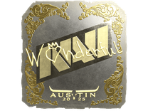 Gold Sticker - w0nderful (Gold) | Austin 2025
