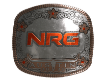 Foil Sticker - NRG (Foil) | Austin 2025