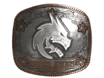 Foil Sticker - Team Spirit (Foil) | Austin 2025