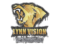 Graffiti - Lynn Vision | Copenhagen 2024