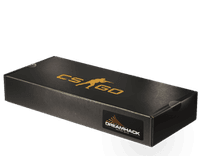 DreamHack 2013 Souvenir Package