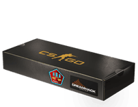 DreamHack 2014 Mirage Souvenir Package
