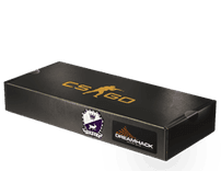 DreamHack 2014 Cobblestone Souvenir Package