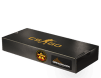 DreamHack 2014 Overpass Souvenir Package