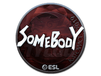 Foil Sticker - somebody (Foil) | Katowice 2019